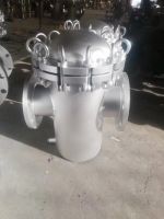 籃式過(guò)濾器